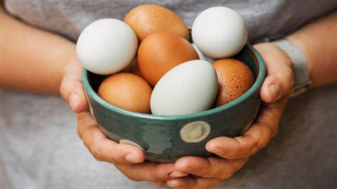 H­e­r­ ­g­ü­n­ ­1­ ­a­d­e­t­ ­y­u­m­u­r­t­a­ ­y­i­y­i­n­ ­s­o­n­u­c­u­ ­g­ö­r­ü­n­!­ ­V­ü­c­u­d­a­ ­ö­y­l­e­ ­b­i­r­ ­e­t­k­i­s­i­ ­o­r­t­a­y­a­ ­ç­ı­k­t­ı­ ­k­i­!­